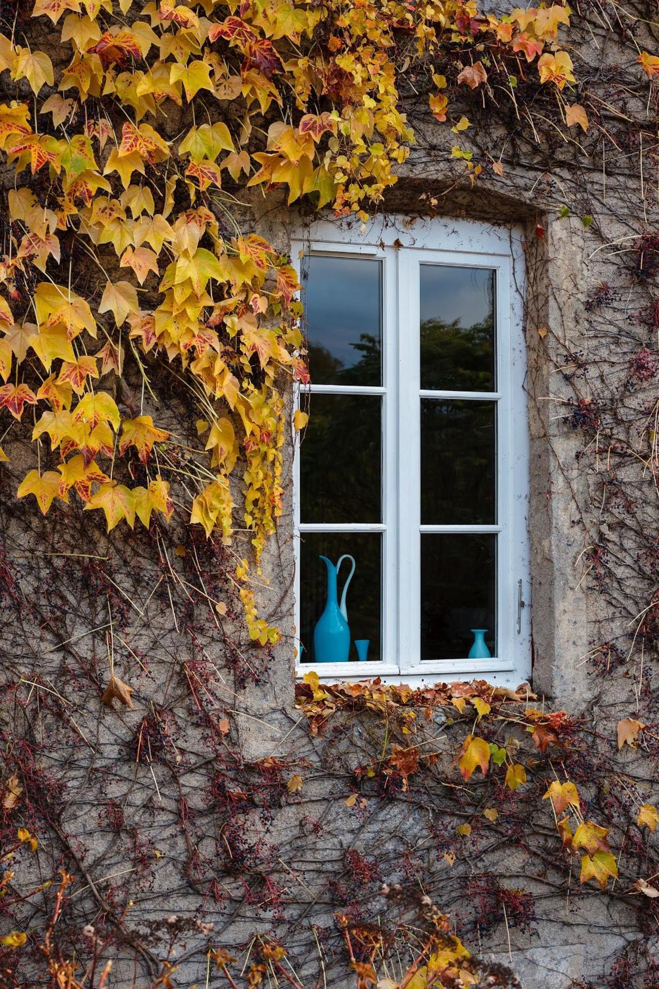 Moulin Renaudiots - Maison d'hôtes Autun Exterior foto