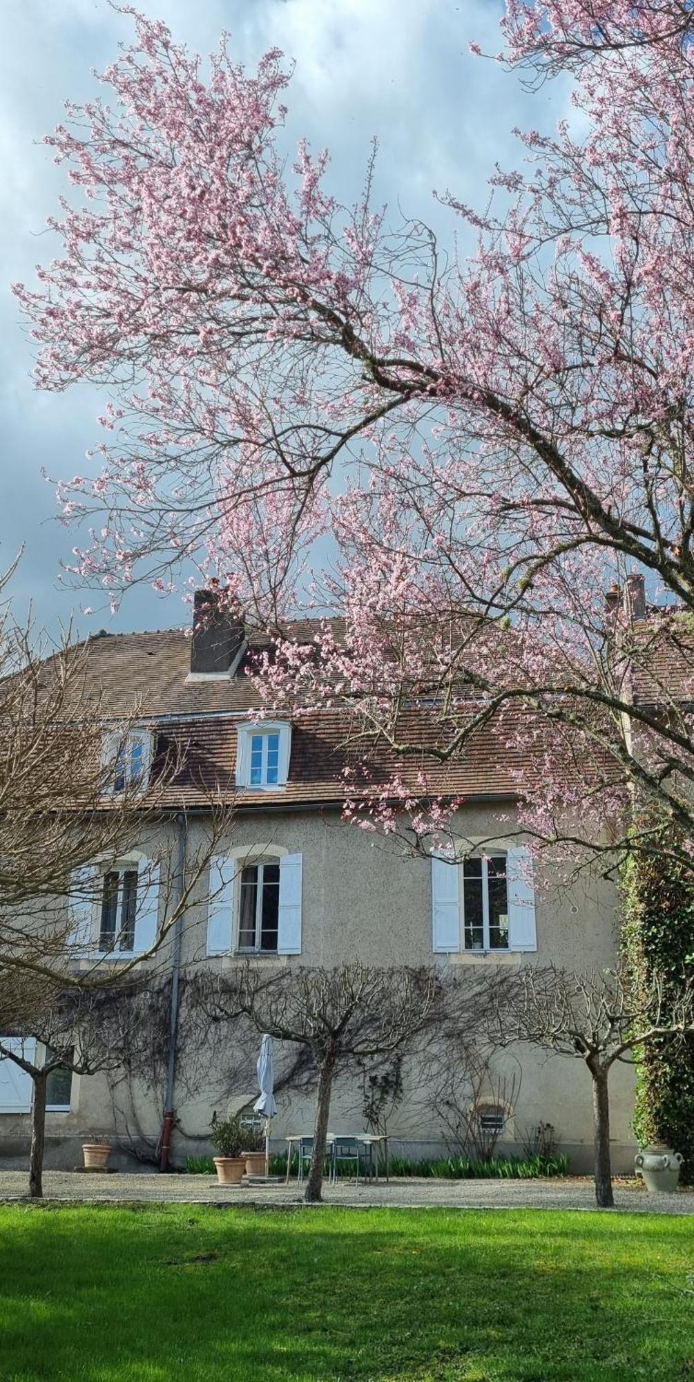 Moulin Renaudiots - Maison d'hôtes Autun Exterior foto
